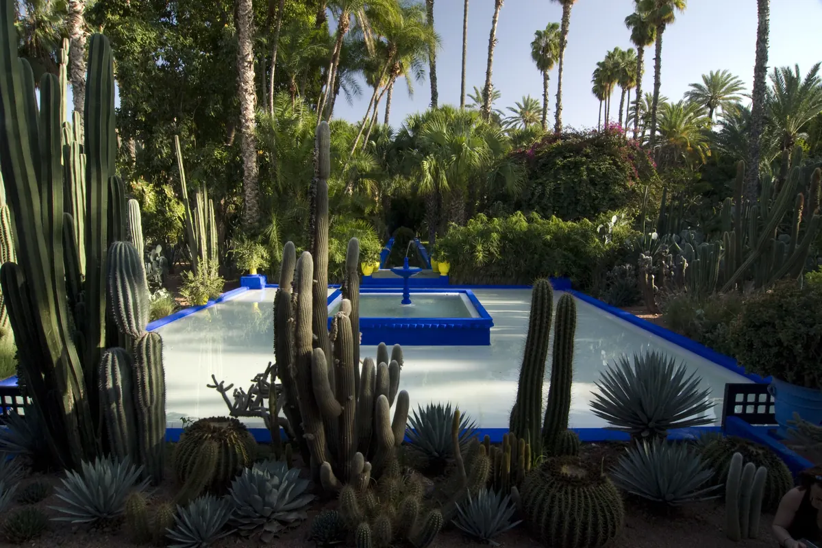 Tall columnar cacti and agaves around a pool edged in cobalt blue, with palms behind, in the Majorelle Garden