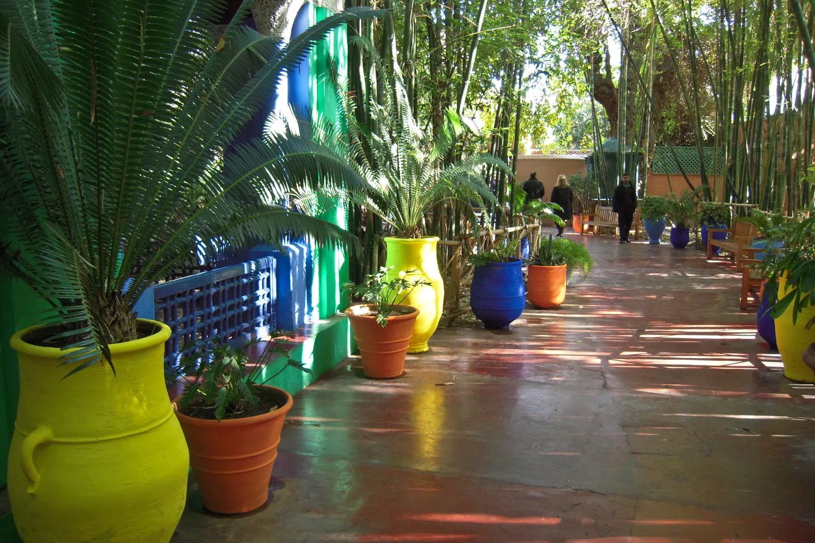 A red-paved path lined with large yellow, blue and orange glazed pots of plants, with a big palm on the left and bamboo behind