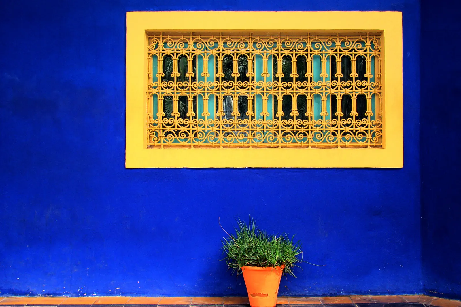 A deep blue wall with a yellow-framed window of metal lattice, and a single orange pot with a spiky green plant on the tiled ground beneath it